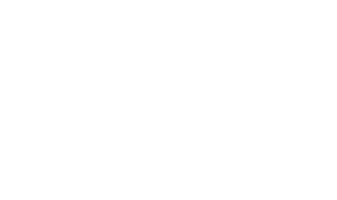 SECTOR DE AGRONEGOCIOS VICEPRESIDENTE DEL SECTOR DE AGRONEGOCIOS DIRECTOR DE AGROINDUSTRIAL DIRECTOR DE AGRONEGOCIO 