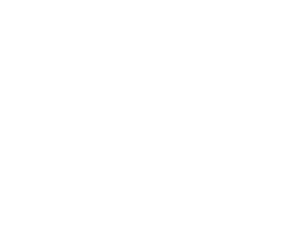 SECTOR GUBERNAMENTAL VICEPRESIDENTE DEL SECTOR GUBERNAMENTAL DIRECTOR DE DEPENDENCIAS FEDERALES DIRECTOR DE DEPENDENCIAS ESTATALES DIRECTOR DE DEPENDENCIAS MUNICIPALES DIRECTOR DE DEPENDENCIAS INTERNACIONALES