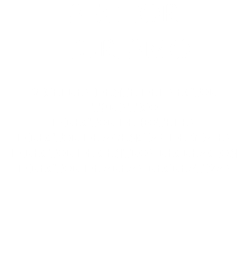 SECTOR TURISMO VICEPRESIDENTE DEL SECTOR TURISTICO DIRECTOR DE HOTELES DIRECTOR DE AGENCIAS DE VIAJES DIRECTOR DE CENTROS RECREACION DIRECTOR DE AREAS RECREATIVAS 