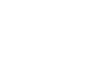 SECTOR TRANSPORTE VICEPRESIDENTE DEL SECTOR TRANSPORTE DIRECTOR DE TRANSPORTE PUBLICO DIRECTOR DE TRANSPORTE DE CARGA DIRECTOR DE TRANSPORTE TURISTICO DIRECTOR DE TRANSPORTE DE PERSONAL 