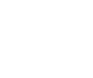 SECTOR MENSAJERIA VICEPRESIDENTE DEL SECTOR MENSAJERIA Y LOGISTICA DIRECTOR DE EMPRESAS DE MENSAJERIA DIRECTOR DE EMPRESAS DE ALMACENAMIENTO DIRECTOR DE EMPRESAS DE LOGISTICA DIRECTOR DE EMPRESAS DE MANTENIMIENTO 