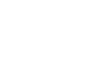 SECTOR SEGURIDAD VICEPRESIDENTE DEL SECTOR SEGURIDAD DIRECTOR DE EMPRESAS DE TRANSPORTE VALORES DIRECTOR DE EMPRESAS DE SEGURIDAD PRIVADA DIRECTOR DE SEGURIDAD BANCARIA 