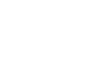 SECTOR CULTURAL VICEPRESIDENTE DEL SECTOR CULTURA DIRECTOR DE MUSEOS DIRECTOR DE FERIAS DIRECTOR DE SALAS DE ARTE DIRECTOR DE SALAS DE EXPOSICIONES DIRECTOR DE CENTROS DE EXPOSICIONES DIRECTOR DE AUDITORIOS Y COMPLEJOS CULTURALES 