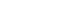  EMPRESAS MEDIANAS De 51 a 250 empleados 